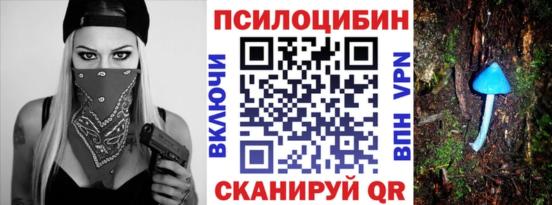 где купить   Новоалтайск  Псилоцибиновые грибы Psilocybine cubensis 