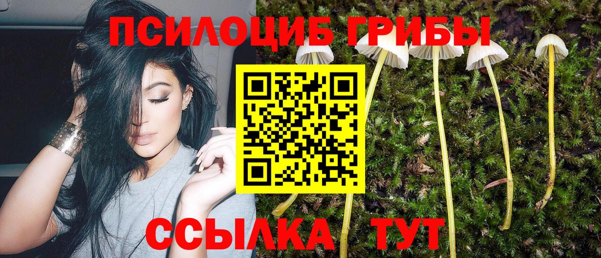 Галлюциногенные грибы ЛСД  сколько стоит  Новоалтайск  Вход с VPN 